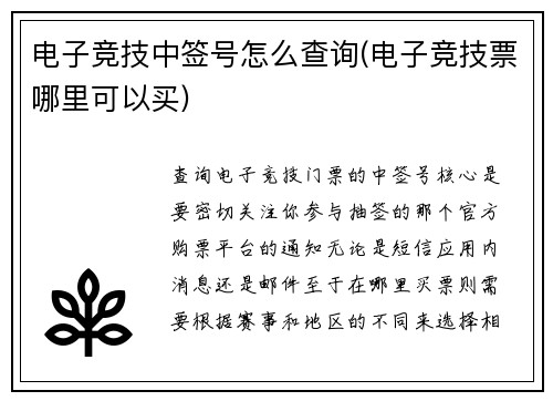 电子竞技中签号怎么查询(电子竞技票哪里可以买)